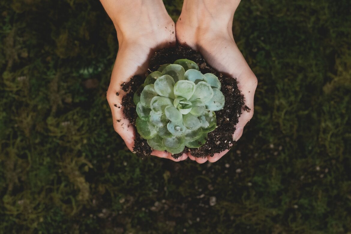 A ciência a favor da sustentabilidade — Descubra como a ciência pode ajudar a promover a sustentabilidade em todas as áreas de nossas vidas e o que podemos fazer juntos para proteger o planeta para as próximas gerações.